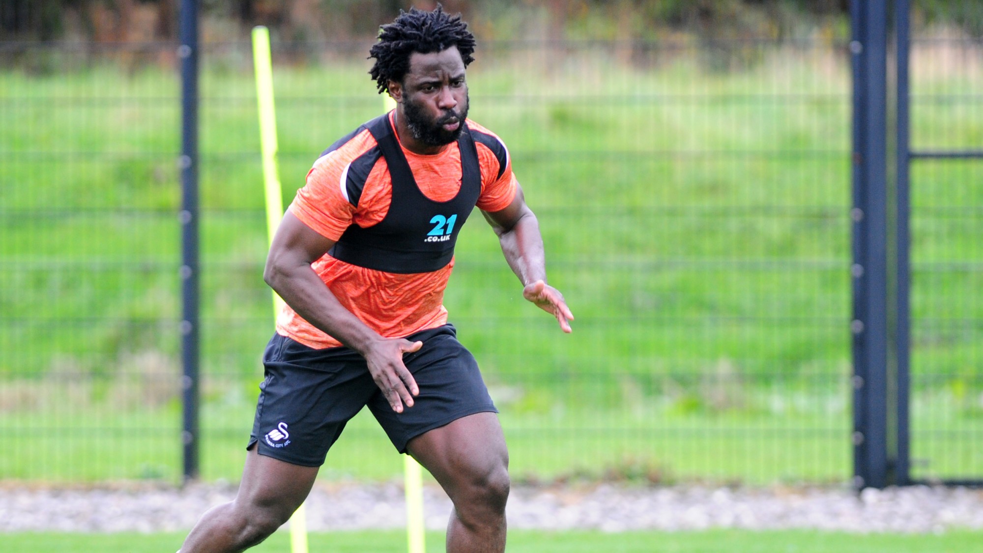Wilf s Step Forward Swansea
